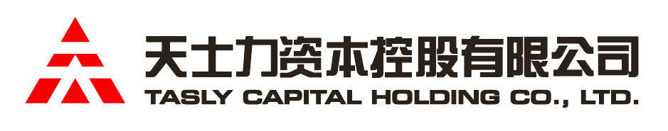 领航国际资本控股有限公司